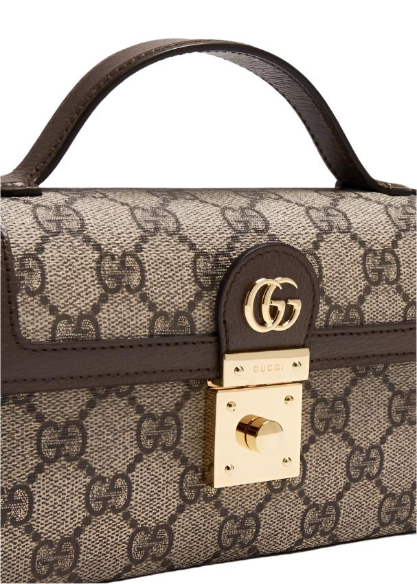 Gucci Ophidia Mini Bag - Bagistaofficial