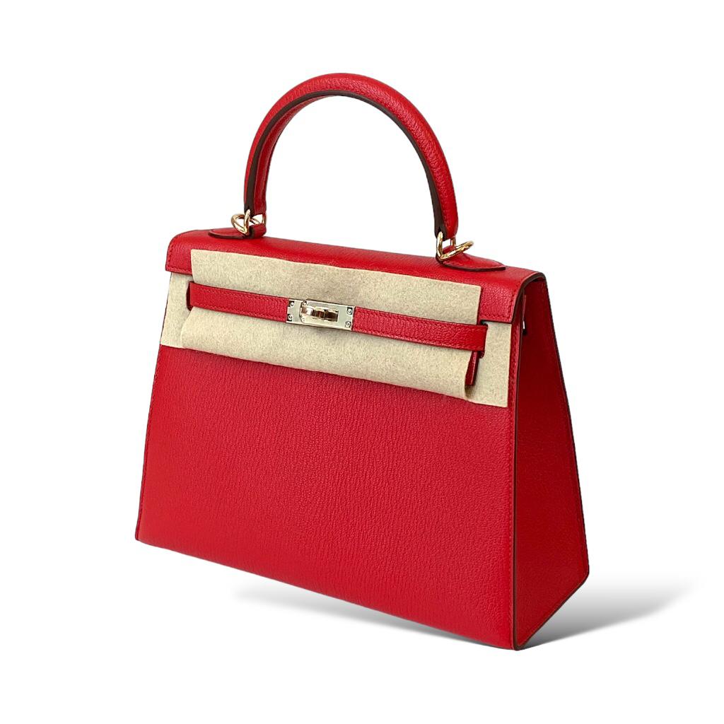 Hermes Kelly 22 Orange Field - Bagistaofficial